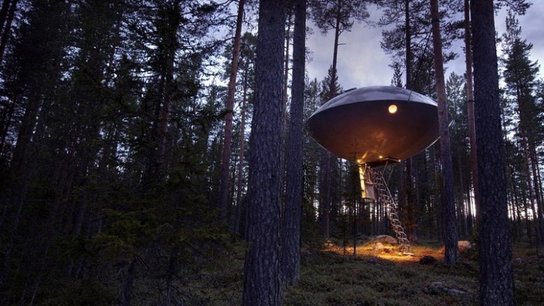 Sleep in a treetop