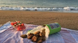 beach picnic