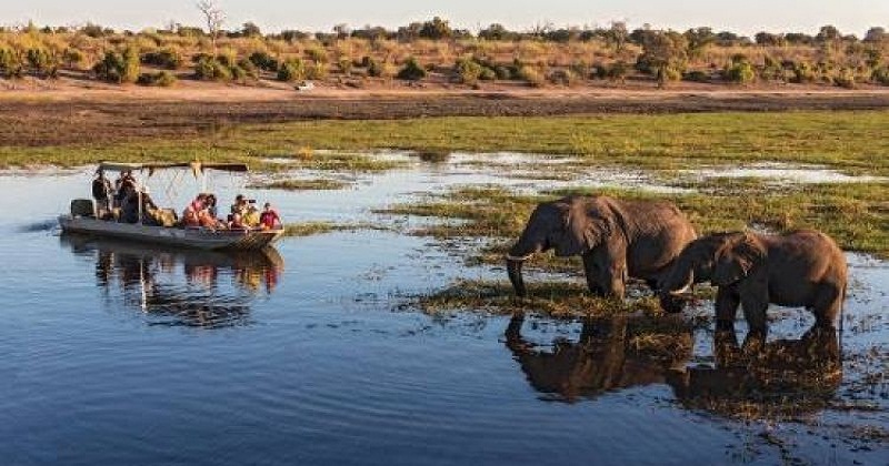 best Okavango Delta Fact