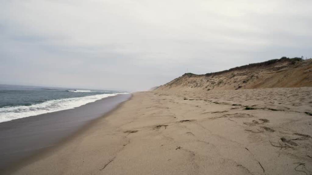 Sandy beaches of Cape Cod with waves crashing and seagulls flying overhead.